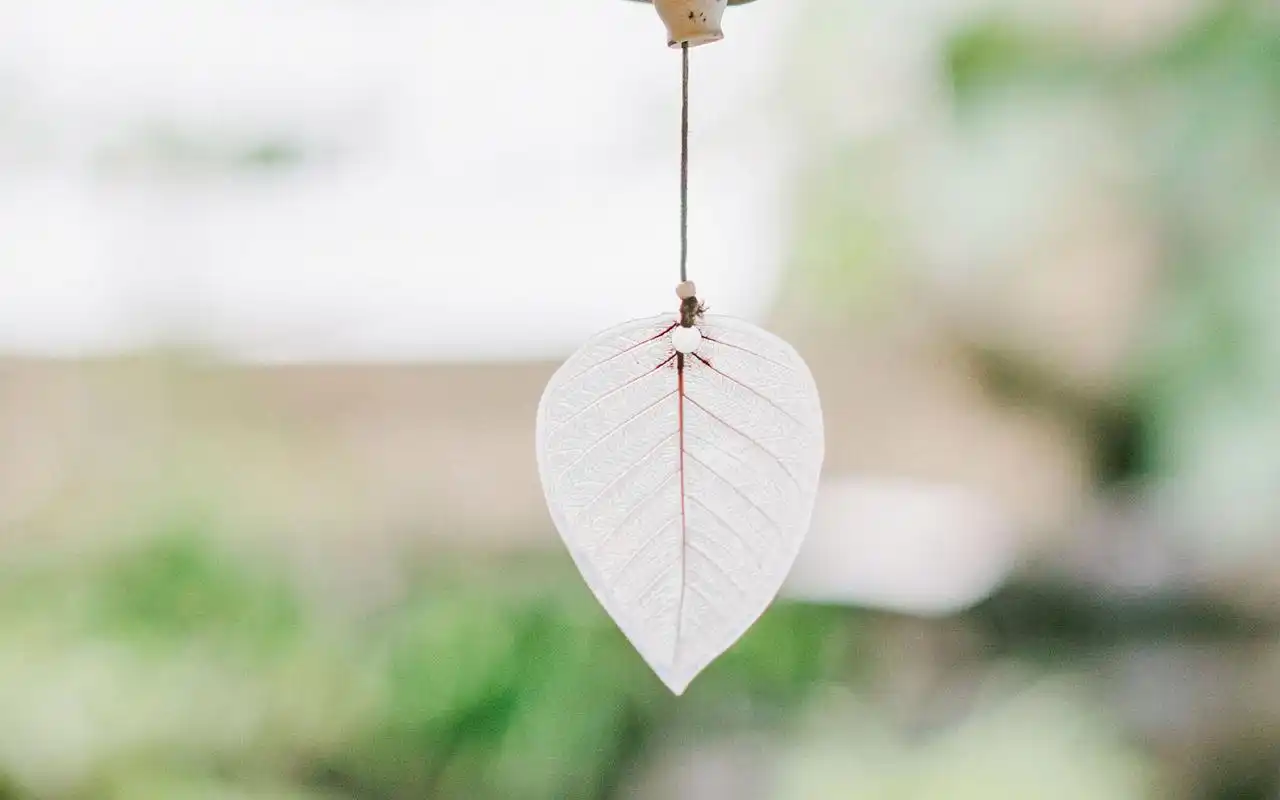 幽默笑话生命中不可缺少的东西