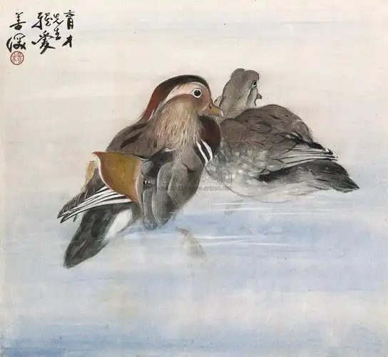 【鸳鸯 镜心 设色纸本】拍卖品_图片_价格_鉴赏_绘画_雅昌艺术品拍卖