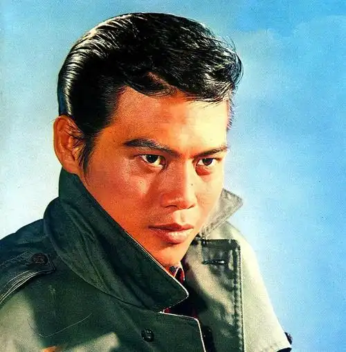 已去世的邵氏武打明星除了岳华罗烈最可惜的是他俩英年早逝