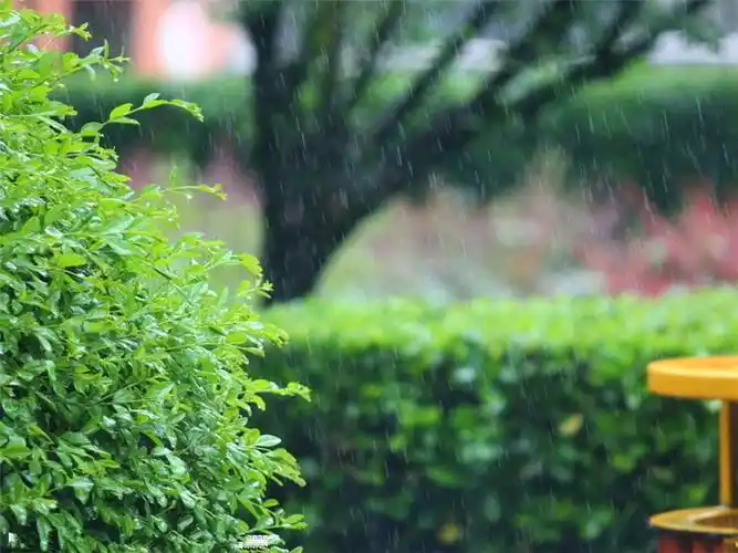 我上传了文件【春-春雨图(1).jpg】到网盘,点击下载