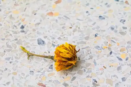 干枯的花水磨石地板背景上的花干枯了照片
