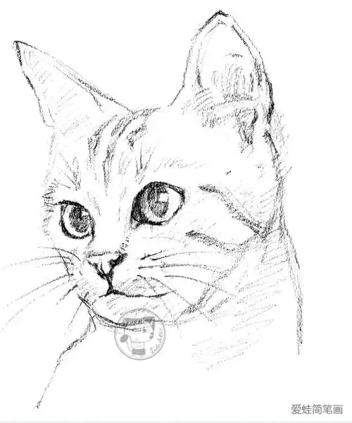 猫咪半侧脸_小猫-简笔画大全