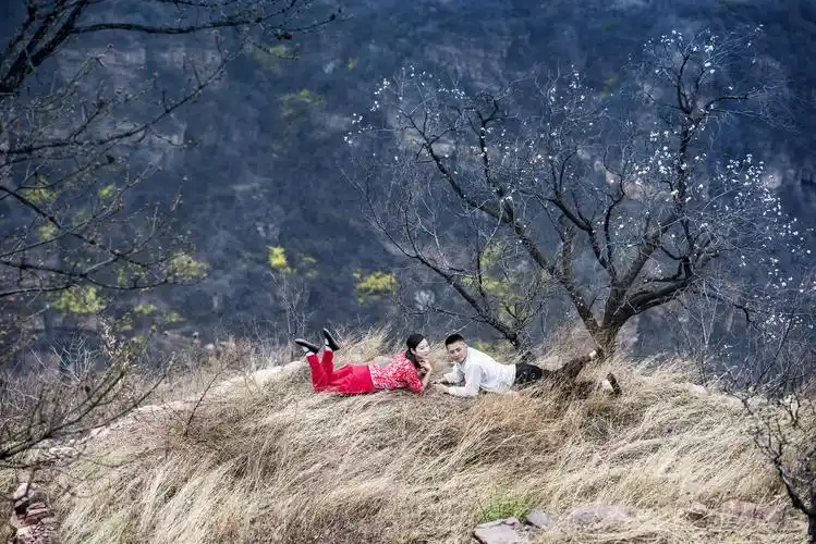 纵然遍体鳞伤,唯渣男勾勾手指,便会回头的星座女