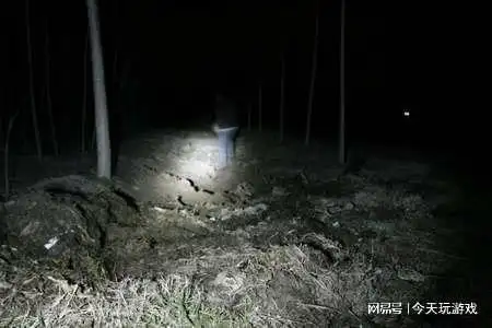 午夜出租车奇遇之鬼火