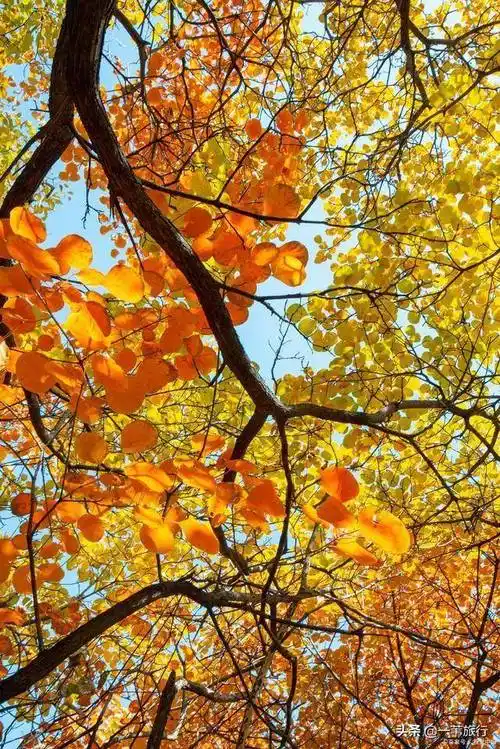 640_959竖版 竖屏