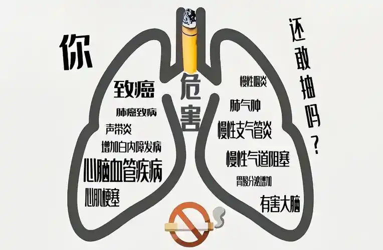 吸烟的危害,远比你想象的要严重 - 知乎