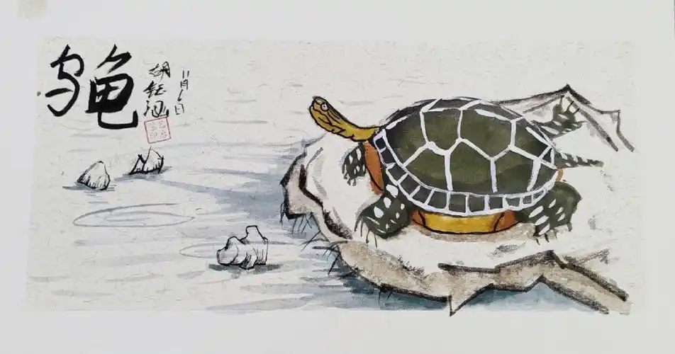 乌龟彩墨国画三四年级