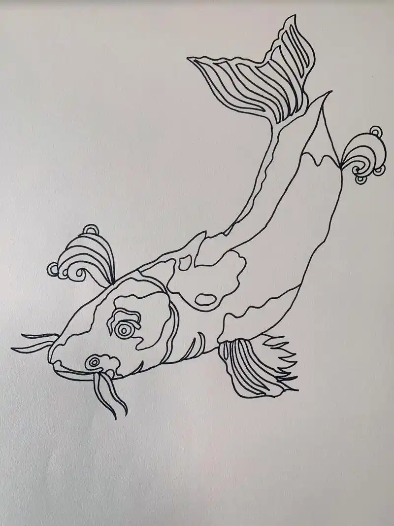 来自锦鲤鱼的好运.#见者好运  #黑白线描画 #好运锦鲤 # - 抖音