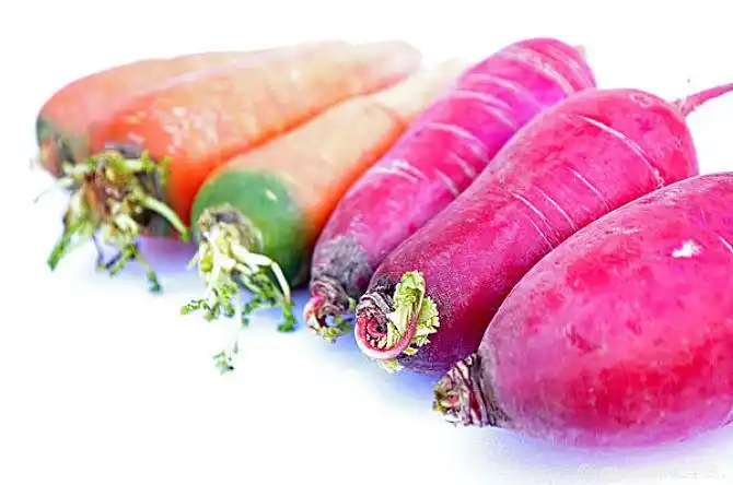 红萝卜和胡萝卜