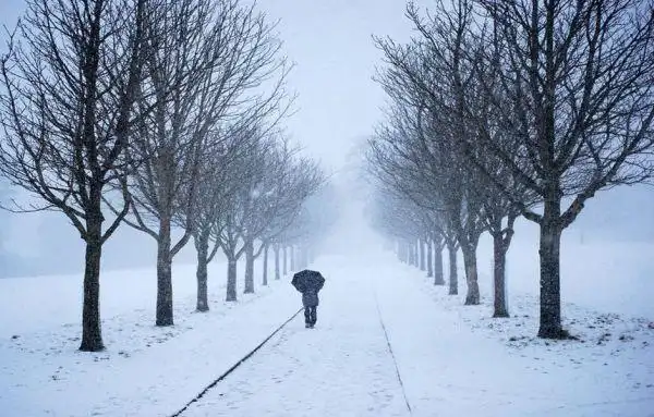 一个人走在路上的图片最好图片上只有他一个人冬