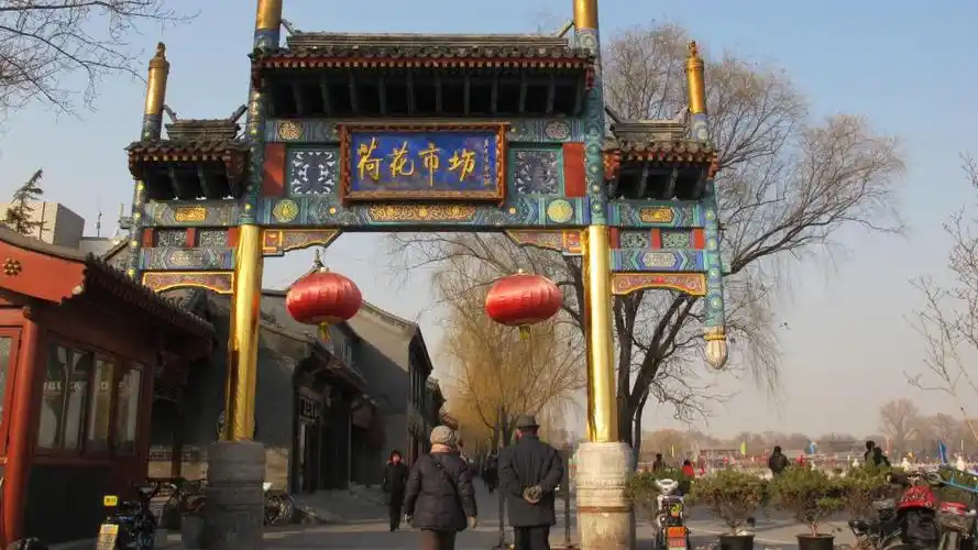 老两口逛荷花市场