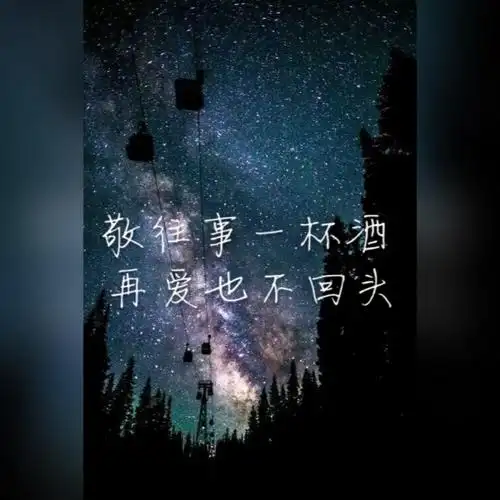 自制.【敬往事一杯酒,再爱也不回头】