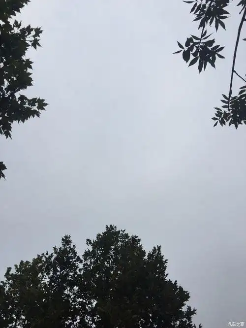 大家伙早上好,又是阴天