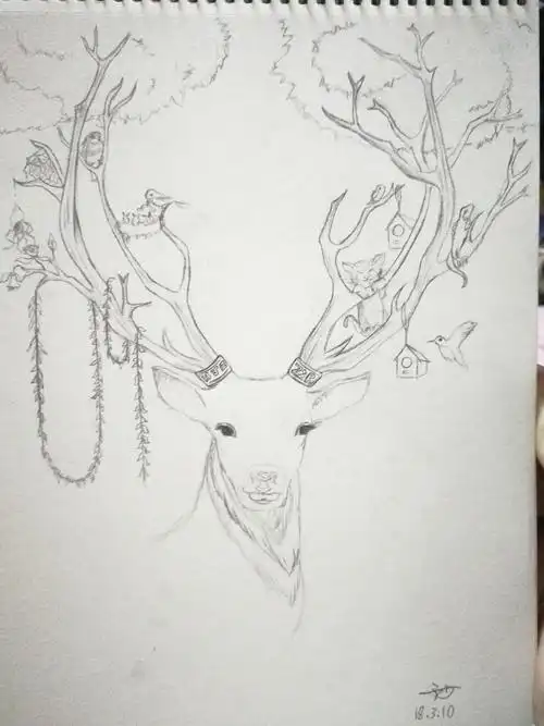 线稿鹿|纯艺术|绘画|hjzchau - 原创作品 - 站酷 (zcool)
