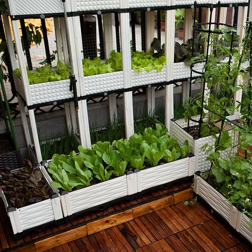 阳台蔬菜种植箱菜园楼顶种菜盆天台屋顶种菜箱神器长方形组合花盆