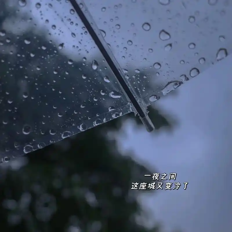 你的城市下雨了吗97.如果没人给你送伞 记得自己撑把伞97# - 抖音