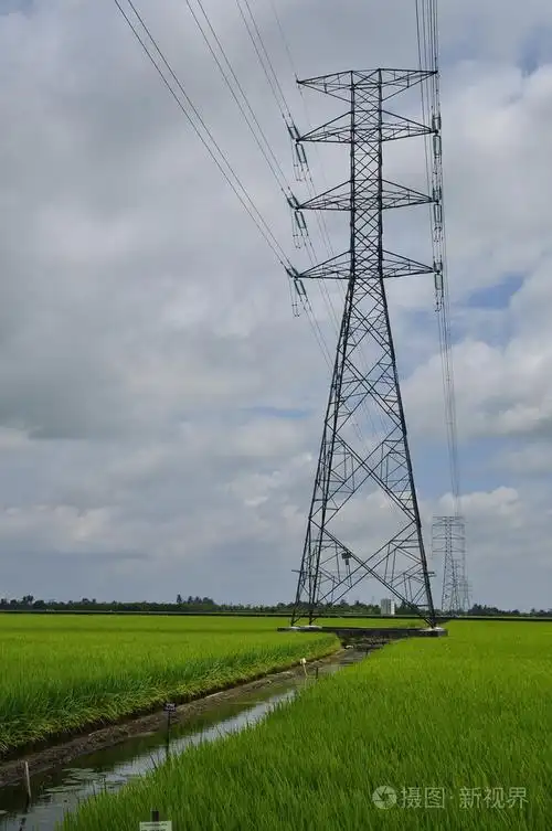在稻田中电网
