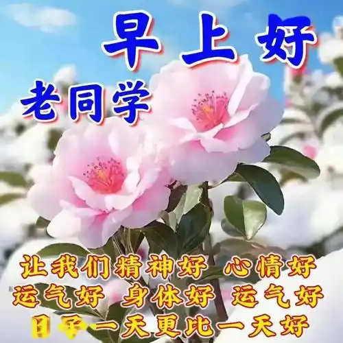 早上好祝福语图片大全,早安图片唯美温馨祝福语集锦_问候_朋友_阳光