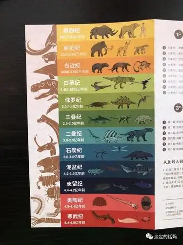 再从石炭纪的爬行动物到白垩纪的鸟类,最后从侏罗纪的哺乳动物到