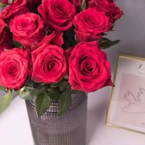 a级珍爱玫瑰花20个花苞toobigdata带货数据