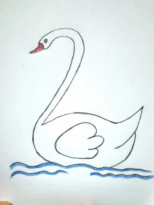 涂黑,上色,天鹅就完成了就这么简单,一起来画白天鹅吧#画个简笔画