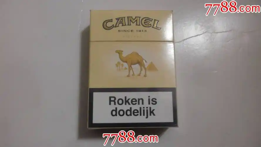 外烟骆驼22支装