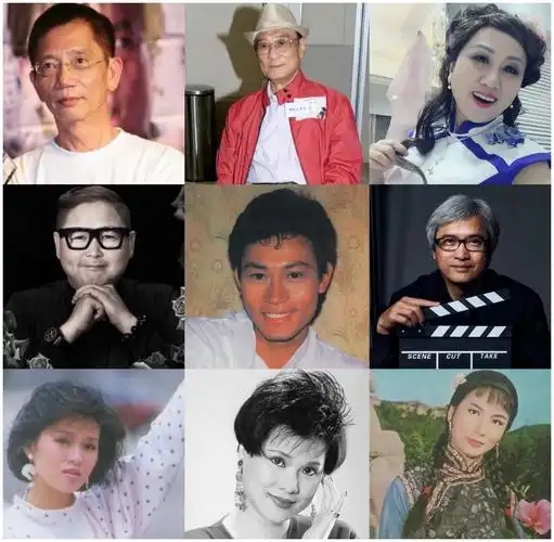 从金牌绿叶到著名导演2020年香港十位资深艺人离世