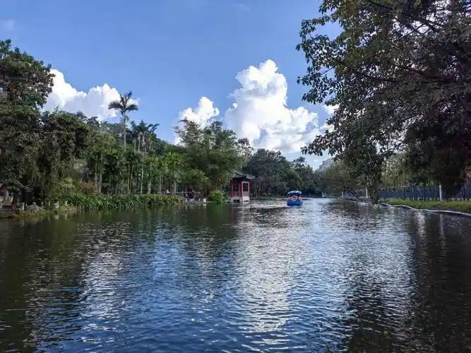 但这次,我是陪家人在越秀公园的北秀湖泛舟游览.