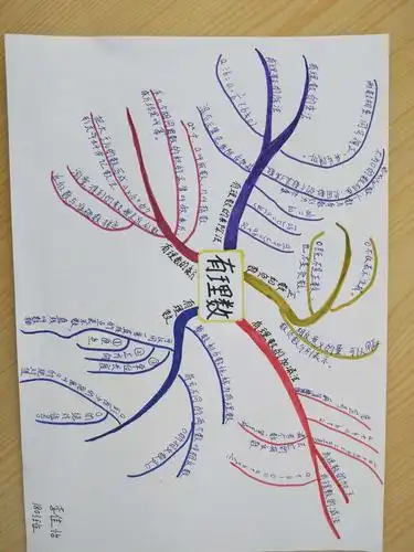 1803班"有理数"知识结构图