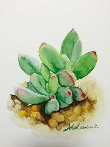 多肉水墨画