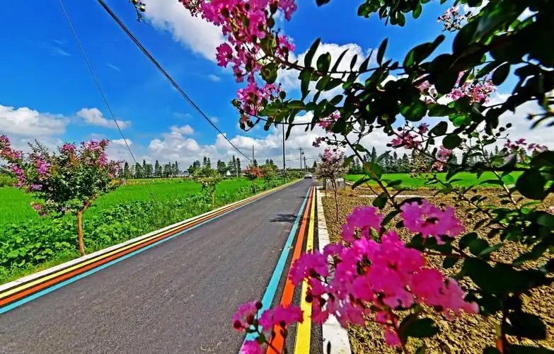 乡村道路绿化,美化,黑色化,乡村颜值不断提升.无锡锡山锡北镇