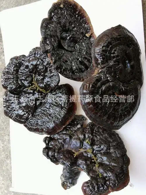 灵芝中药材 赤灵芝 菌灵芝 黑灵芝 农家种植-阿里巴巴