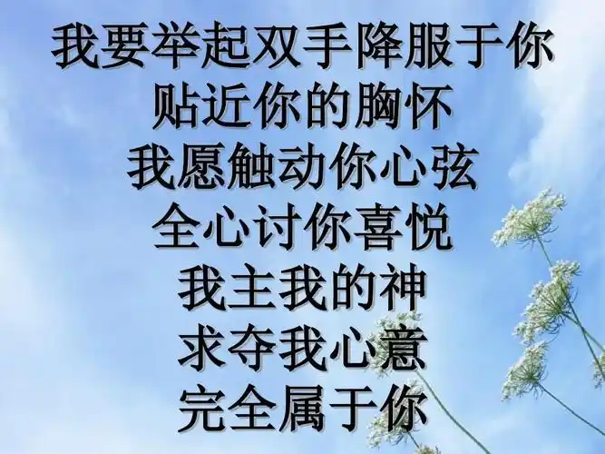 双手降服于你 贴近你的胸怀我愿触动你心弦全心讨你喜悦我主我的神 求