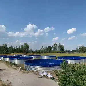 大型户外圆形高密度养殖鱼池养虾帆布鱼马桶易排污刀刮布镀锌板池