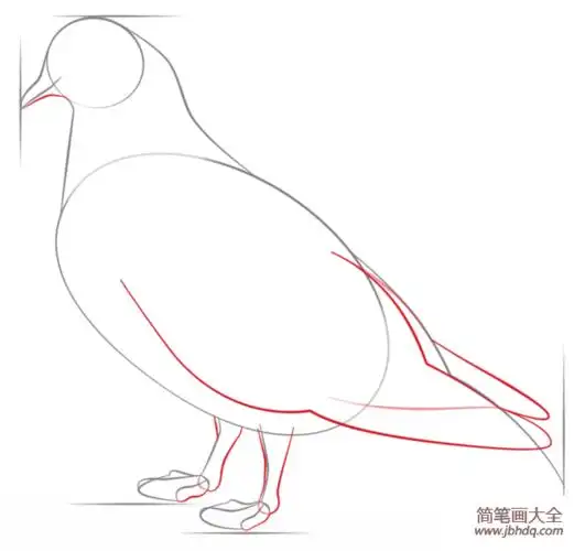 如何画鸽子简笔画