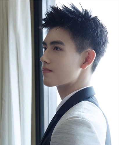 no.3短发 刺猬头