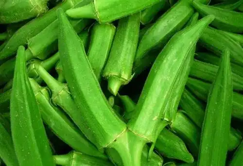 海南德利黄秋葵种植基地