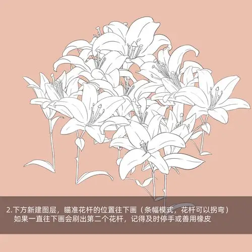 百合花线稿8p - 优动漫 动漫创作支援平台