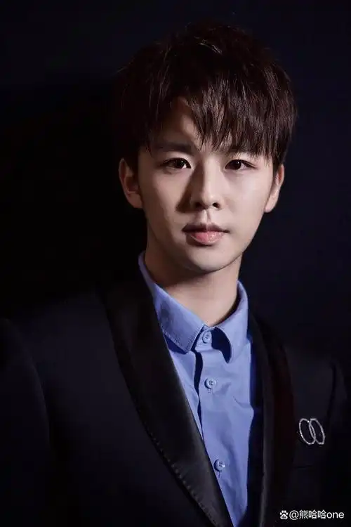 湖南十大帅哥明星