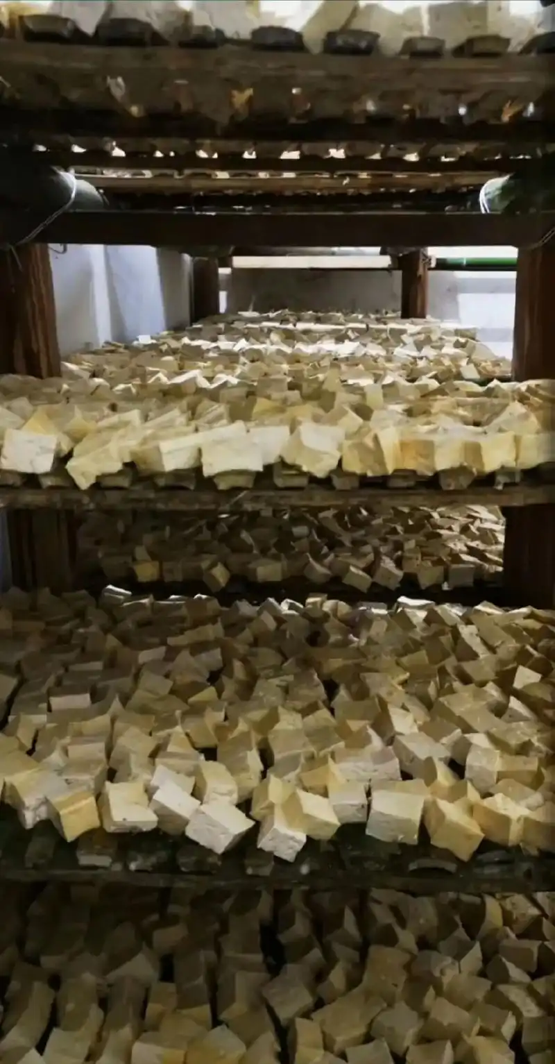 罗泉古镇豆腐乳#自制豆腐乳#纯手工零添加@抖音小助手 - 抖音