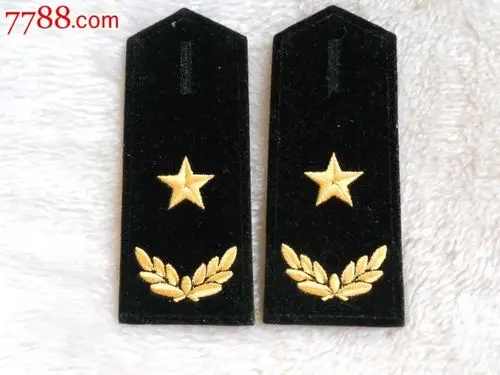 【退役八七海少将软肩章