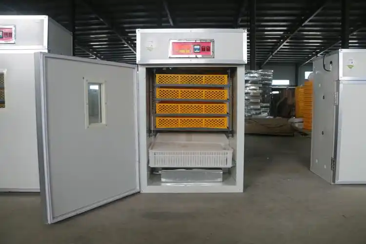 山东德州市通达全自动孵化机孵化器孵化箱家用小型96枚鸡鸭鹅孵蛋器