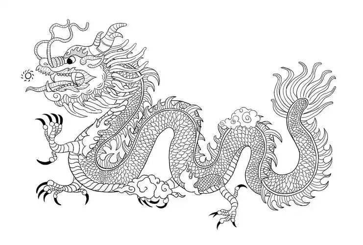 线稿-龙|插画|创作习作|z17636732 - 原创作品 - 站酷 (zcool)