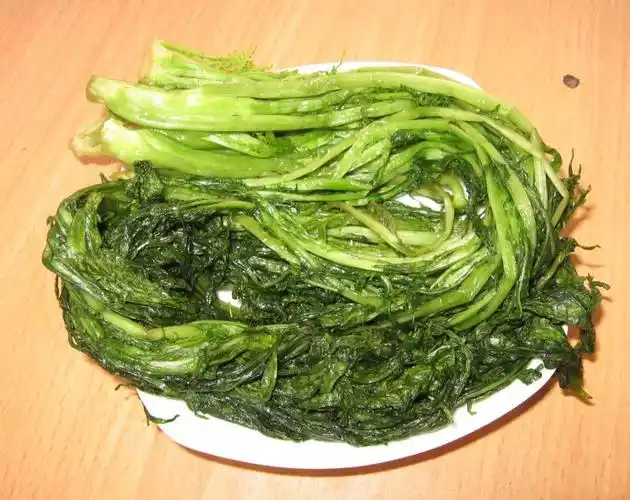 如何腌制雪里蕻(雪菜)?