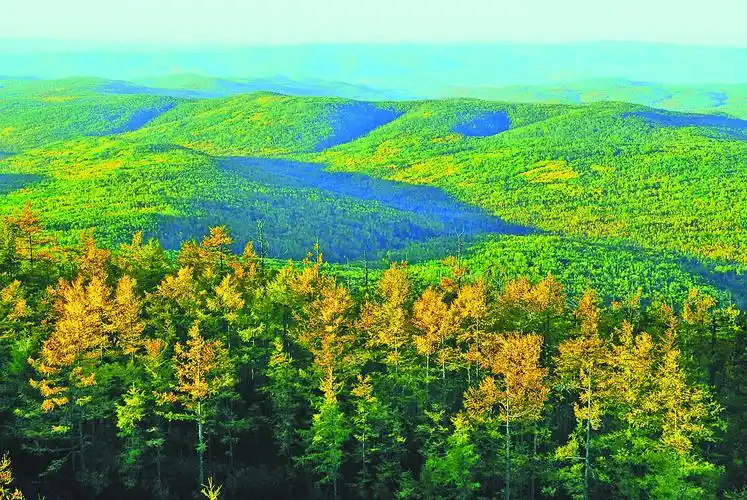 砥砺奋进的五年大兴安岭篇 图片新闻