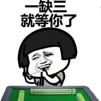 打麻将搞笑表情包合集 微信搞笑打麻将表情包_燕园博思手游网