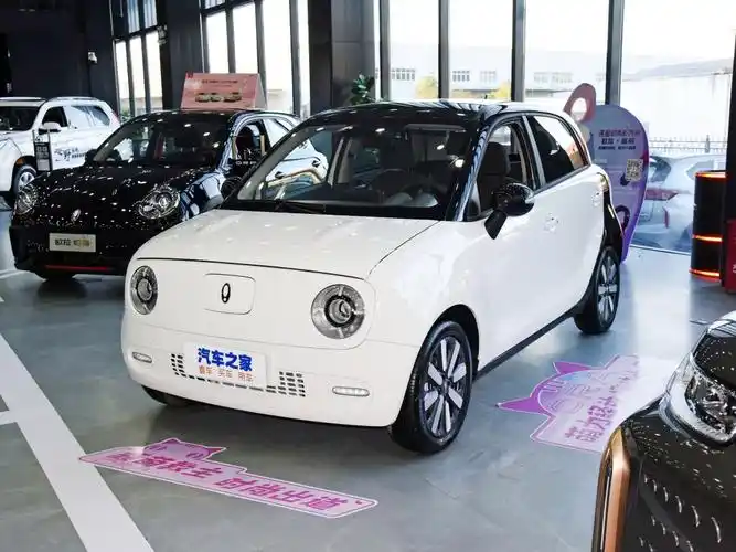 长城汽车 欧拉黑猫 2022款 351km 标准型 三元锂