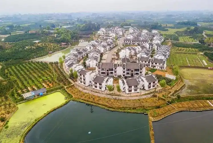 铁牛村新老村民的相遇是城乡共创的新答案