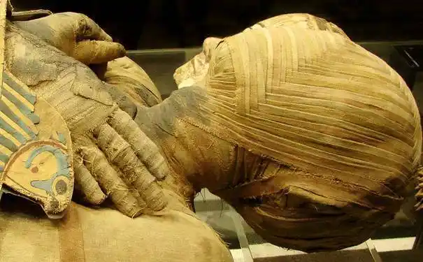 在古埃及,木乃伊和金字塔一样,都是这个古老民族的文化瑰宝.