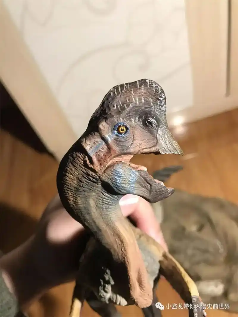 【古生物模型测评】唯识工作室:葬火龙